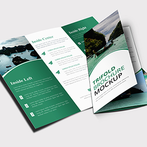 Trifold and Bifold Brochures